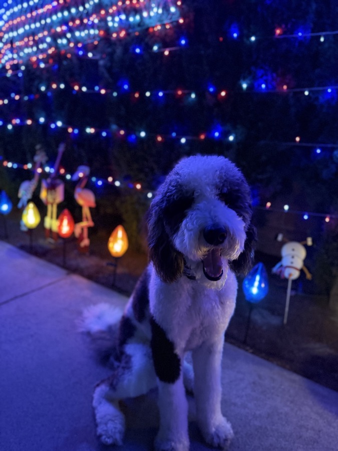 Patrick in lights
